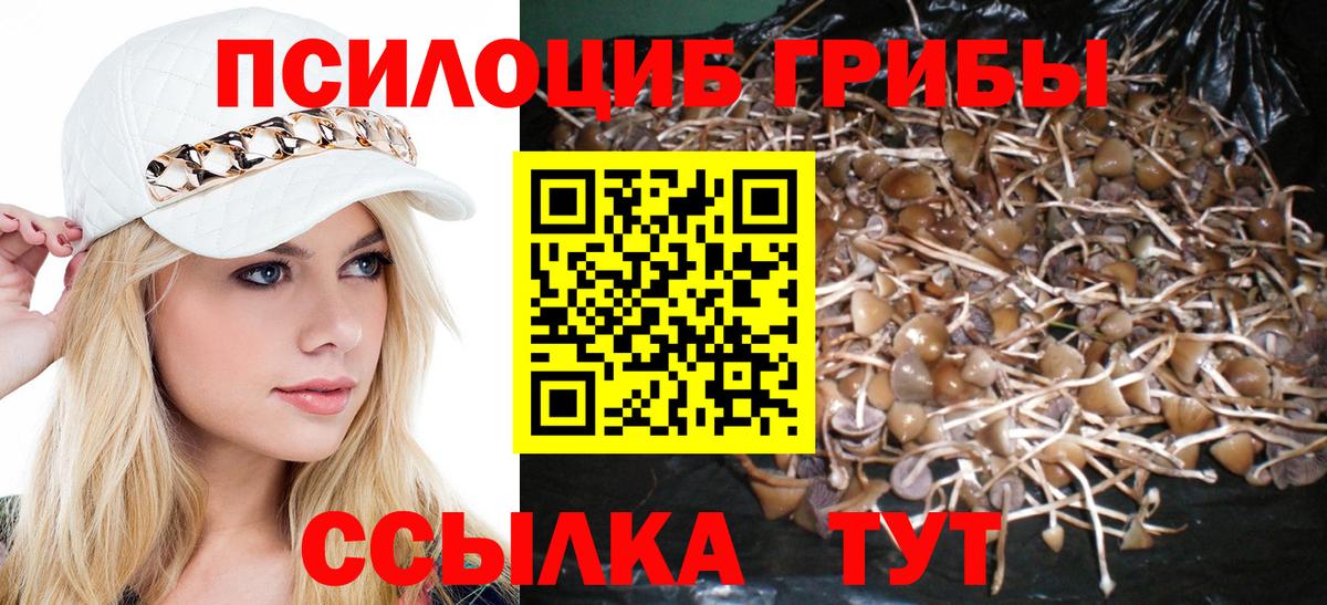 Псилоцибиновые грибы прущие грибы  купить наркоту  Альметьевск  Вход с VPN 